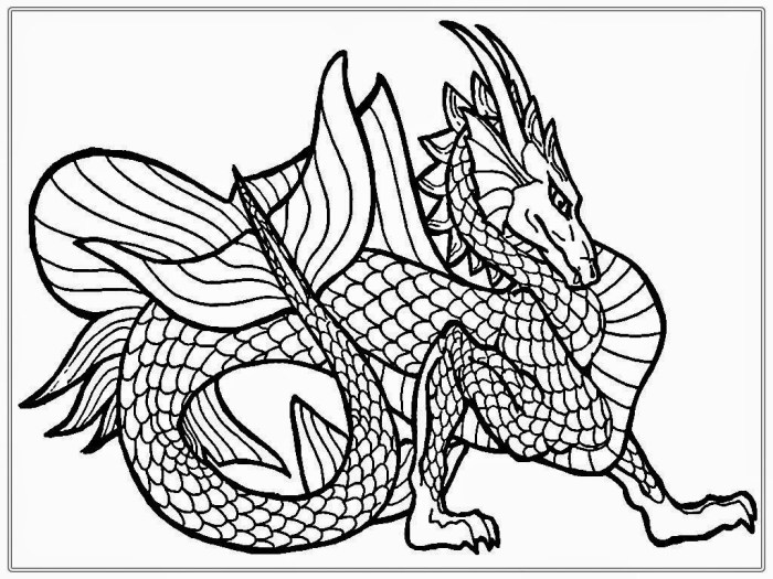 Dragon coloring book pages