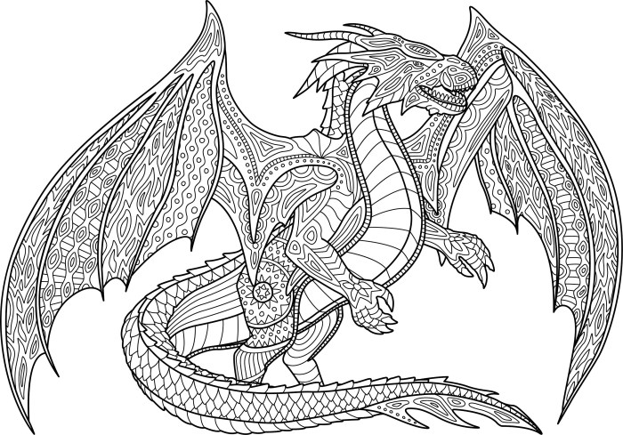 Dragon coloring book pages