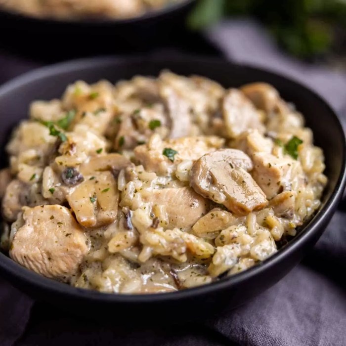 Mushroom soup and chicken casserole recipes